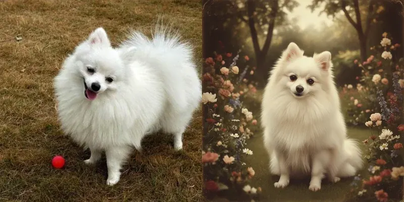 10 Unique Gift Ideas for Pet Lovers in 2026