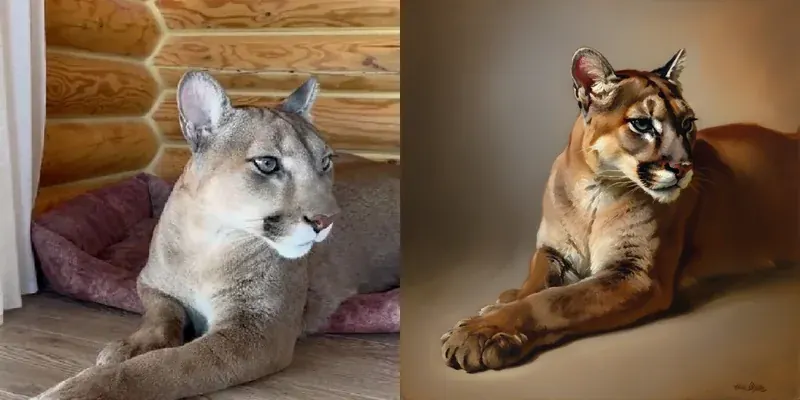 Pet Memorial Portraits: A Beautiful Way to Remember Your Beloved Pet